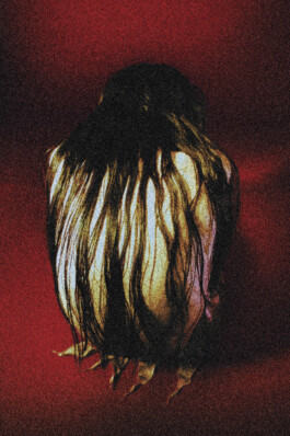 Leonardo Seitz